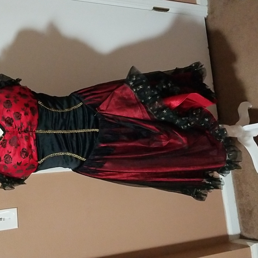Costume, Rouge Dancer . Adults  size 8 - Picture 3 of 5